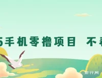 2025手机零撸项目 不看广告 随时可做 单日收益可达三位数