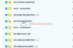 陆薇薇高二生物必修2目标满分班 人教版遗传与进化精讲