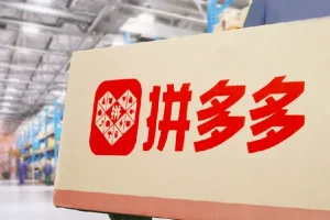 拼多多实操陪跑特训营弟子班2025年2月 泓一老师全站推广与强付费起盘实战