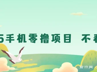 2025手机零撸项目 不看广告 随时可做 单日收益可达三位数