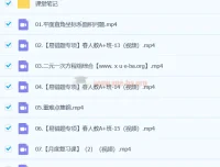 2024 A+寒假春季班 初一数学培训班（徐丝雨）课程合集