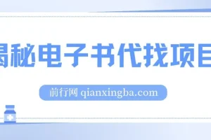 电子书代找项目实操教程 零基础入门月入过万揭秘