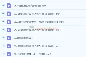 2024 A+寒假春季班 初一数学培训班（徐丝雨）课程合集