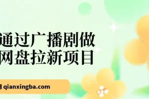 广播剧网盘拉新实战：月入18000+的新玩法拆解
