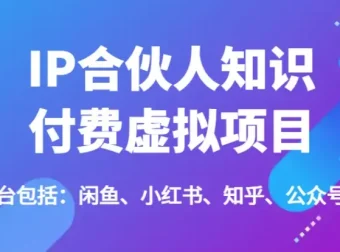 IP合伙人知识付费虚拟项目 全平台引流变现实战课程