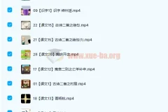 芝麻动漫语文小学二年级下册33讲 趣味动画学语文