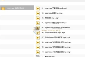 openclaw龙虾应用实战 从安装配置到多平台自动化操作全流程