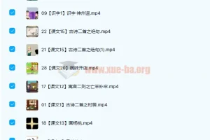 芝麻动漫语文小学二年级下册33讲 趣味动画学语文