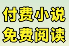 各大平台付费小说TXT合集 八零军婚穿书重生题材打包