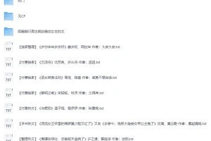 《热门付费小说300》TXT合集 精选言情耽美无CP多题材打包
