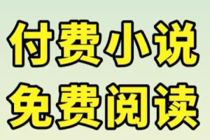 各大平台付费小说TXT合集 八零军婚穿书重生题材打包