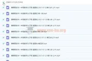 温丽佳 2017暑 初一数学暑假尖子班 10讲完结