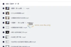AI漫剧制作全流程实操课 0基础从起号到变现一站式入门