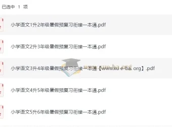暑假预复习衔接一本通 小学语文 25年（1升2至5升6）