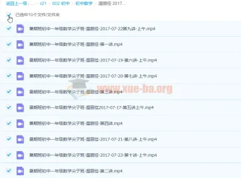 温丽佳 2017暑 初一数学暑假尖子班 10讲完结