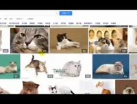 抖音运营实战教程：从零到百万粉丝的账号定位与视频制作全攻略