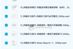 邹老师大学英语四级听阅精品课程 187节完整版