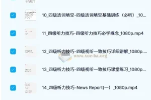 邹老师大学英语四级听阅精品课程 187节完整版