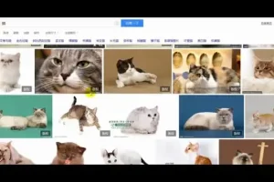抖音运营实战教程：从零到百万粉丝的账号定位与视频制作全攻略