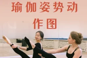 瑜伽姿势动作图合集，按主题排课姿势图资源