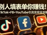 别人填表单你赚钱！TikTok+FB+YouTube引流变现全攻略【原创双语字幕】