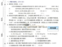 2027曲一线53全优卷语文1-6年级上册 电子版资源