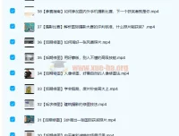 跟全球年度最佳摄影师学手机摄影 39讲完整课程