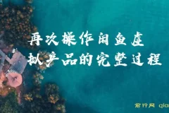 闲鱼虚拟产品实操复盘：从零搭建自动发货店群的完整思路