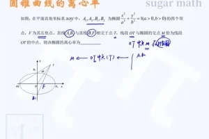 2025高考数学王梦抒二轮真题精讲+模拟特训