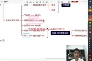 拼多多运营实战课：爆款打造与流量优化技巧