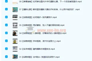 跟全球年度最佳摄影师学手机摄影 39讲完整课程