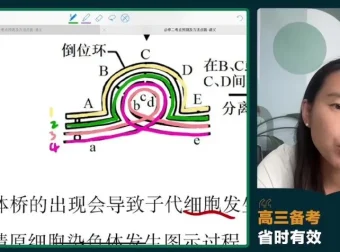 2024高三毛慧生物冲刺班 必修选修考点精讲与全设备观看指南