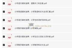 2024小学通关宝典 语数外三科全套电子版 小学知识大全