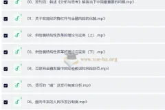 分析与思考-黄奇帆的复旦经济课（完结）有声书