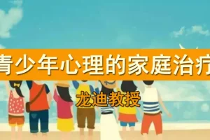龙迪 家庭治疗在青少年心理咨询中的应用 课程资源