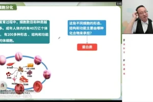 2024徐京高一生物必修一系统课：30天衔接+实验+考点突破