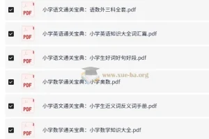 2024小学通关宝典 语数外三科全套电子版 小学知识大全