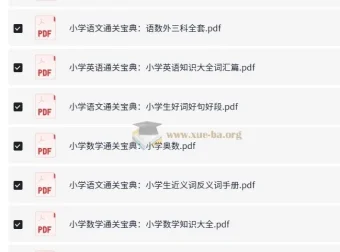 2024小学通关宝典 语数外三科全套电子版 小学知识大全