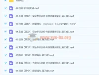 2024高三高考物理蔺天威S寒假班 实验突破与力学电磁核心题型精讲