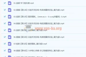 2024高三高考物理蔺天威S寒假班 实验突破与力学电磁核心题型精讲