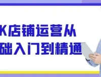 TK店铺运营从入门到精通 全流程实战课程