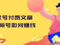 男儿国公众号付费文章：视频号如何赚钱（附峰子笔记涨粉案例）