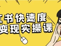 小红书快速涨粉变现实操课 从0到万粉起号全流程