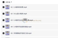 微信小程序开发从入门到实战视频教程