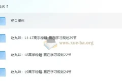 赵九妹学习规划课：L1-L9高手秘籍全阶段指南