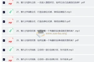引爆自律力：30天攻克惰性，夺回人生主导权