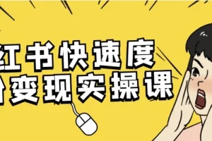小红书快速涨粉变现实操课 从0到万粉起号全流程