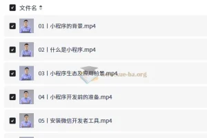 微信小程序开发从入门到实战视频教程