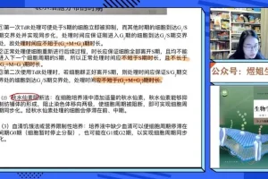 2024高一生物必修一系统课：煜姐精讲+题型突破