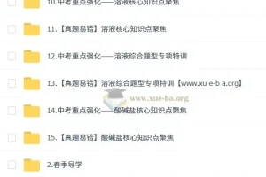 2025陈潭飞初三化学中考培训班 春上·全国版·A+ 课程资源